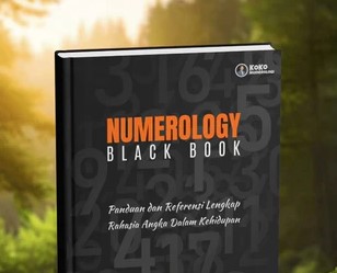 Numerology Black Book